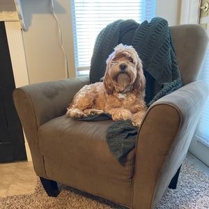 Meet your Posher, Cassie